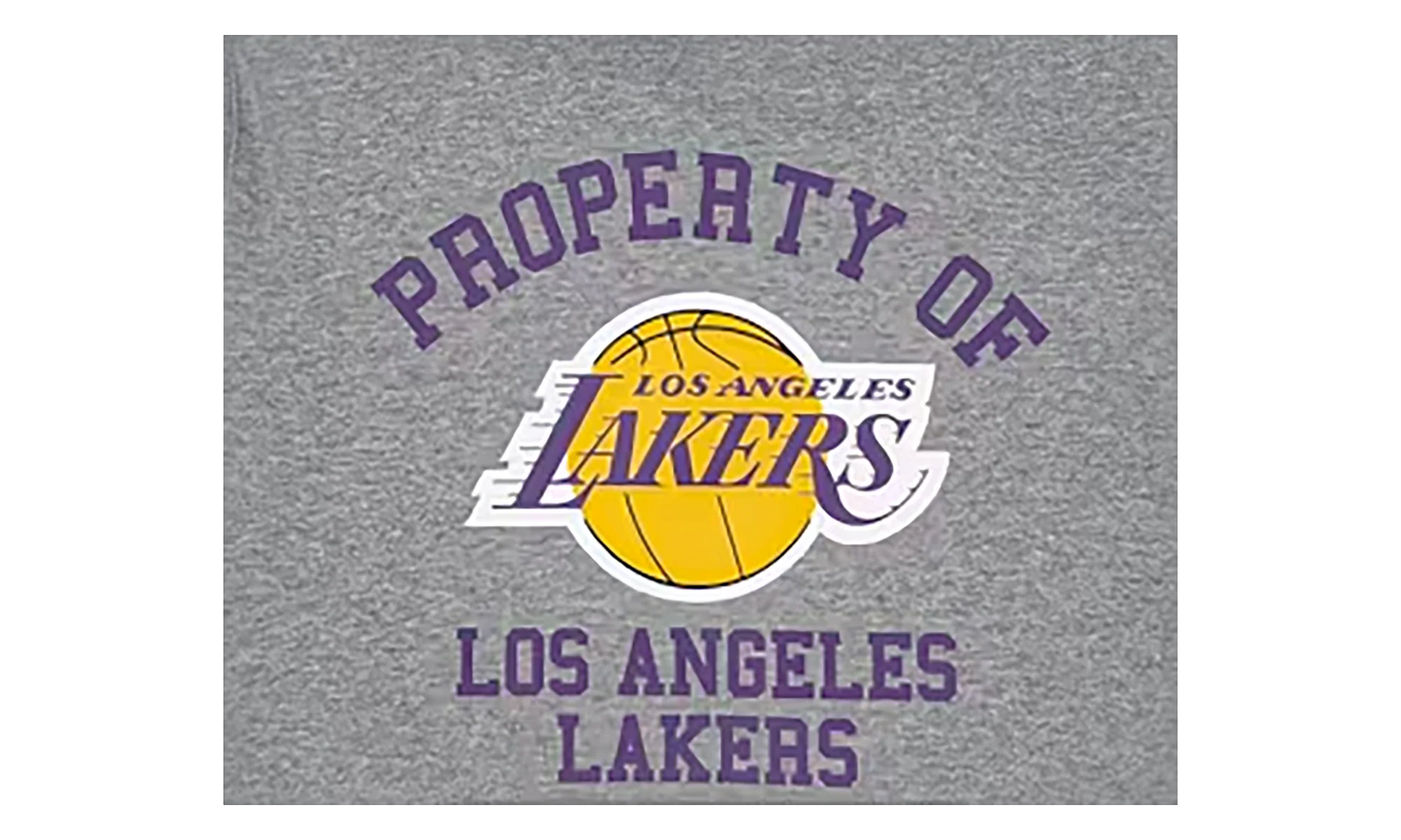 NBA Hoodie Los Angeles Lakers "Grey" EE173