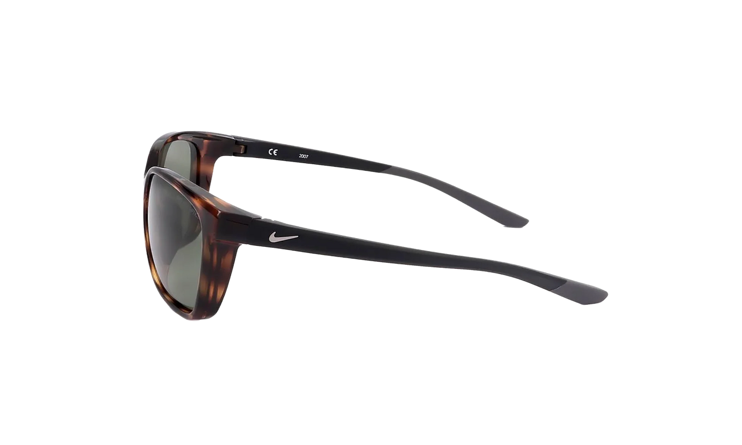 Sentiment Sunglasses "Dark Tortoise Green" CT7886 220