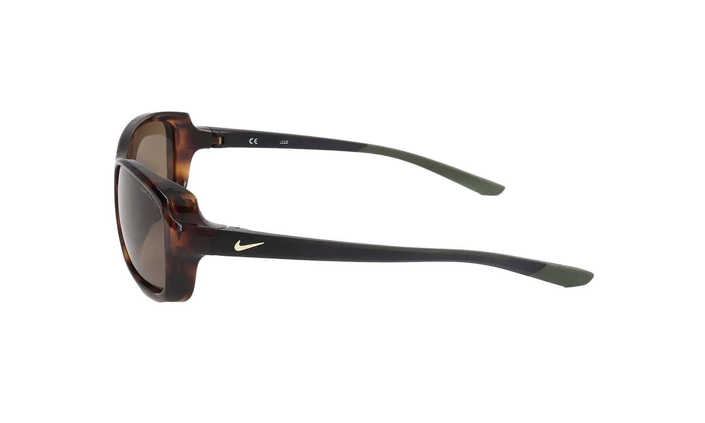 Breeze Sunglasses "Soft Tortoise Gold" CT8031 220