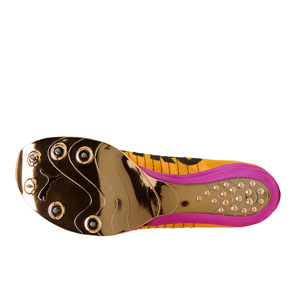 Evospeed Forte NITRO Elite Track & Field Spikes