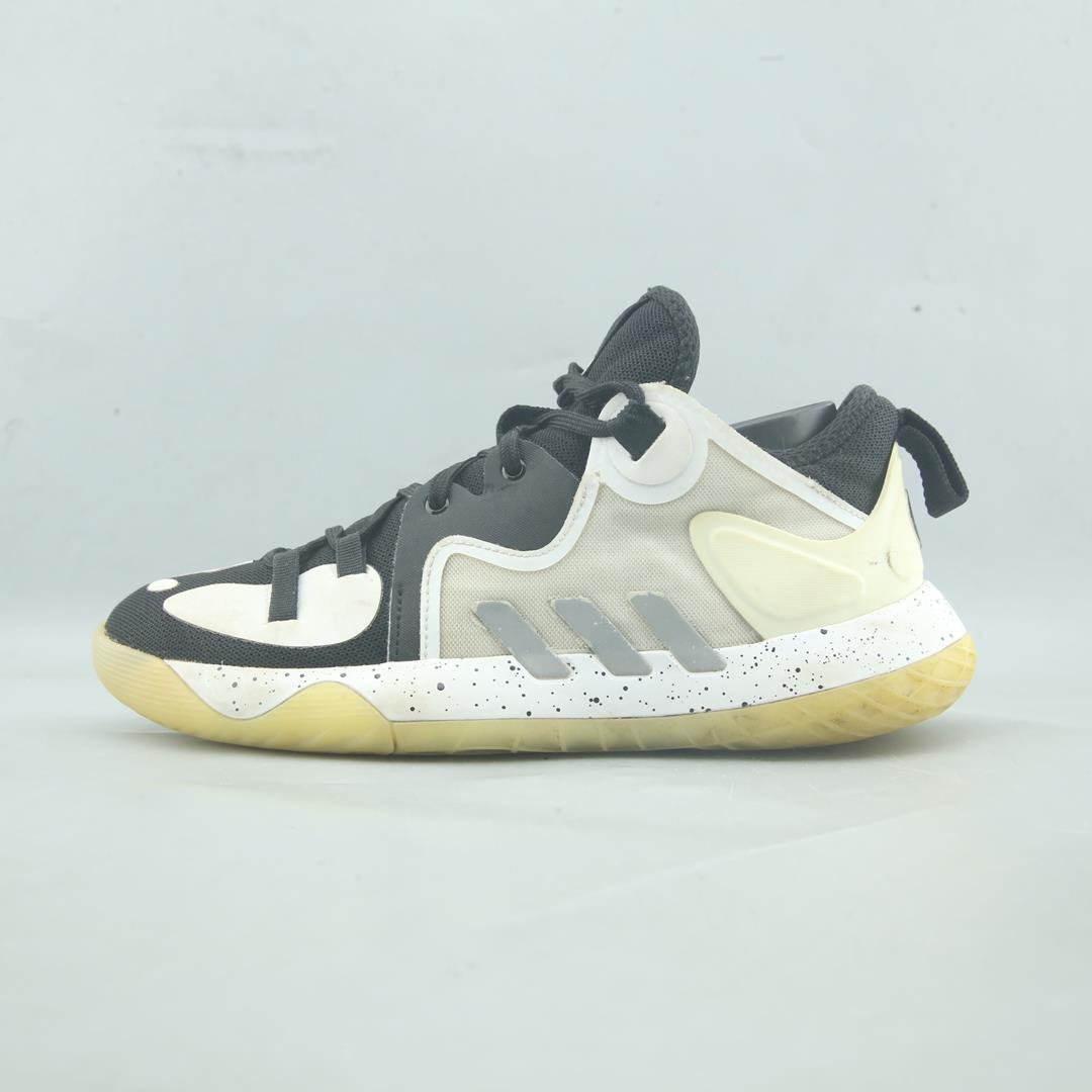 HARDEN STEPBACK 2