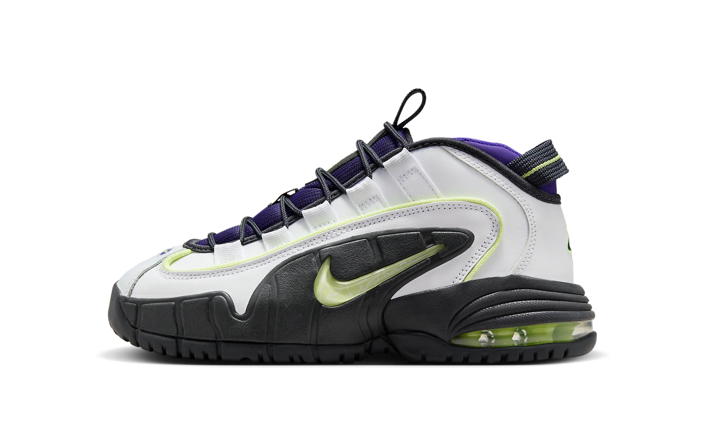 Air Max Penny GS "Penny Story" FZ3546 100