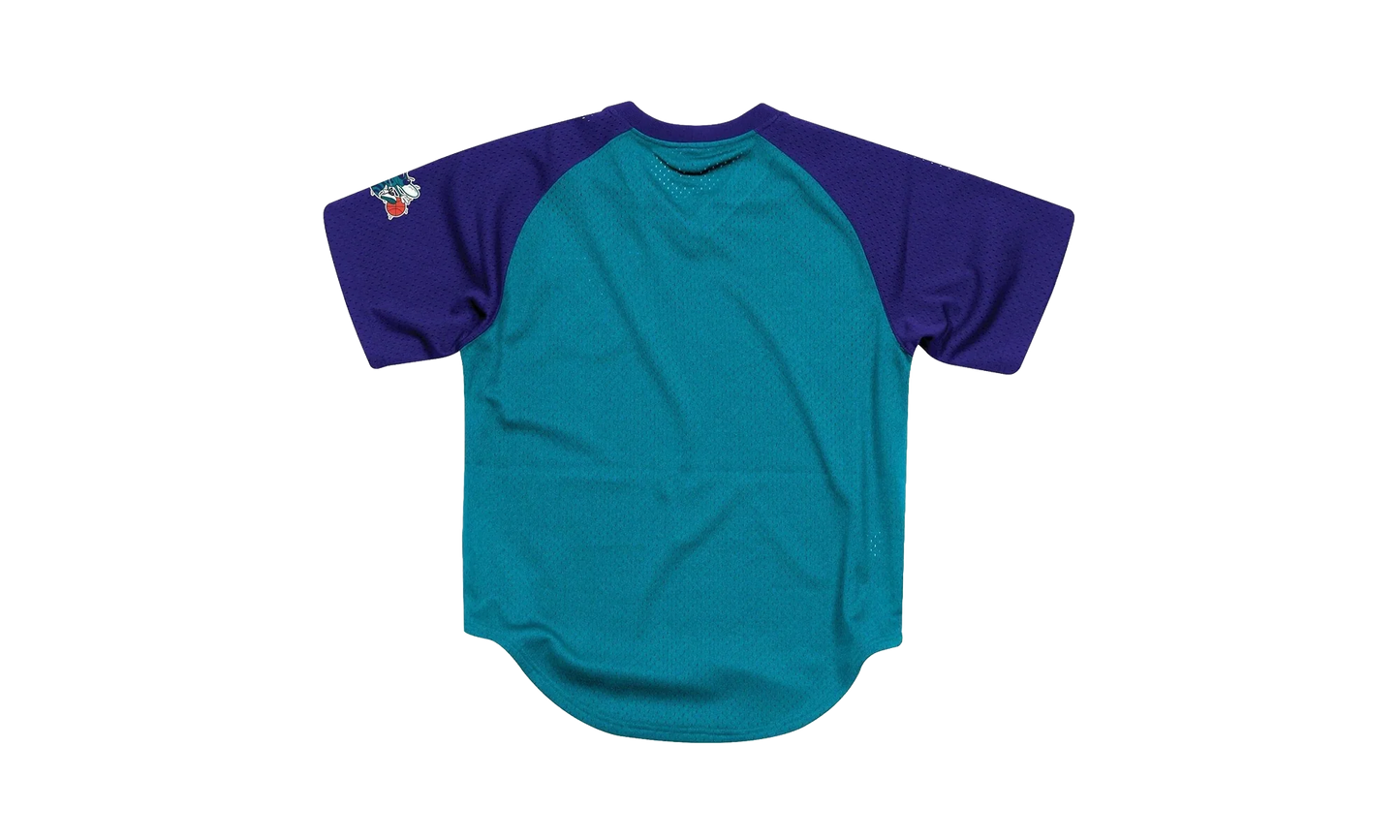 NBA Final Seconds Mesh V-Neck Shirt "Charlotte Hornets - Teal" BA87OQ CHO T JXT