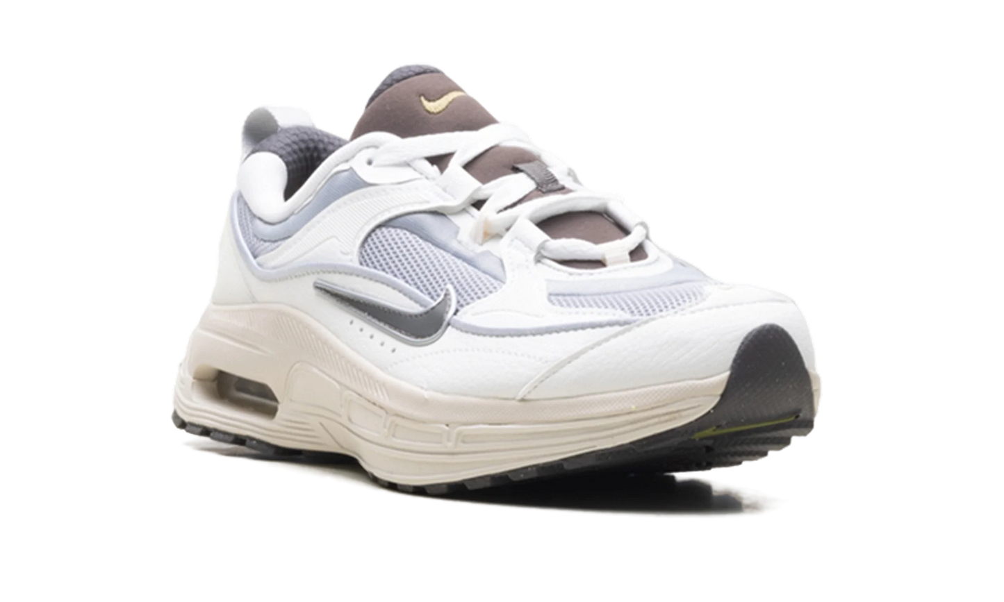 Air Max Bliss WMNS "Next Nature Wolf Grey Summit White" DZ4707 001