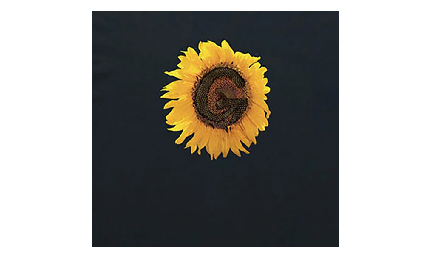 G-Flower SS Tee "Black" G6SU-T103-BLK