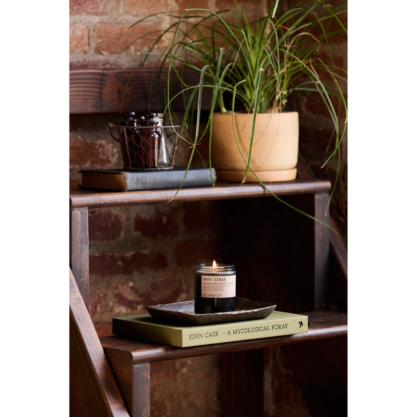 Enoki Cedar Alchemy Candle