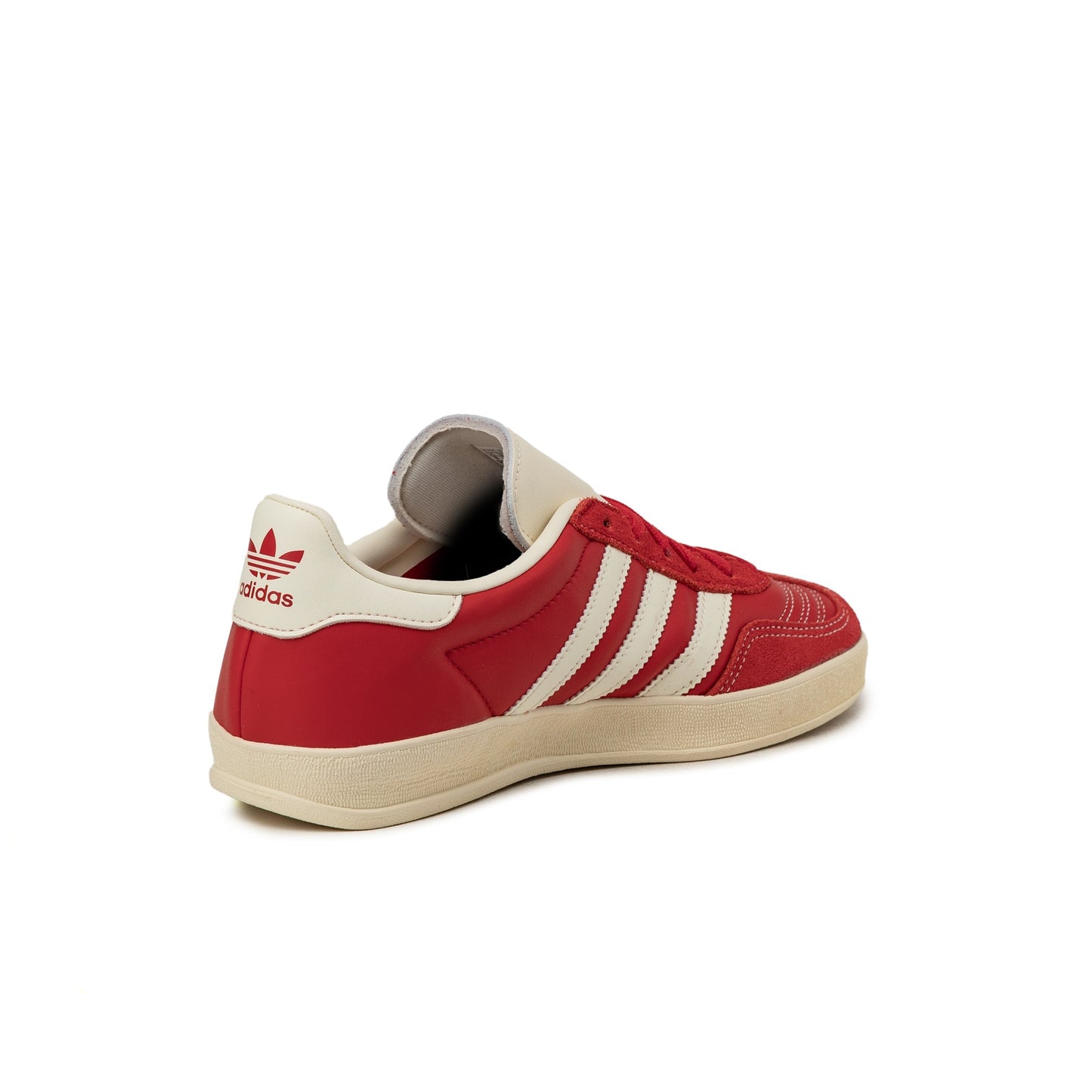 Gazelle Indoor