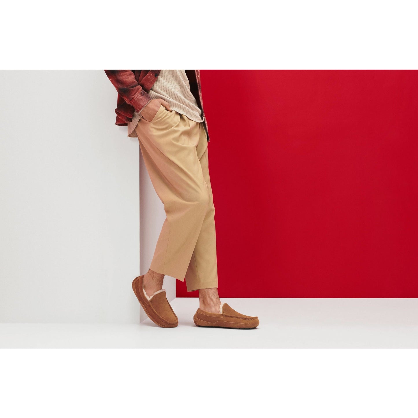 Men's Ascot Slipper in Chestnut