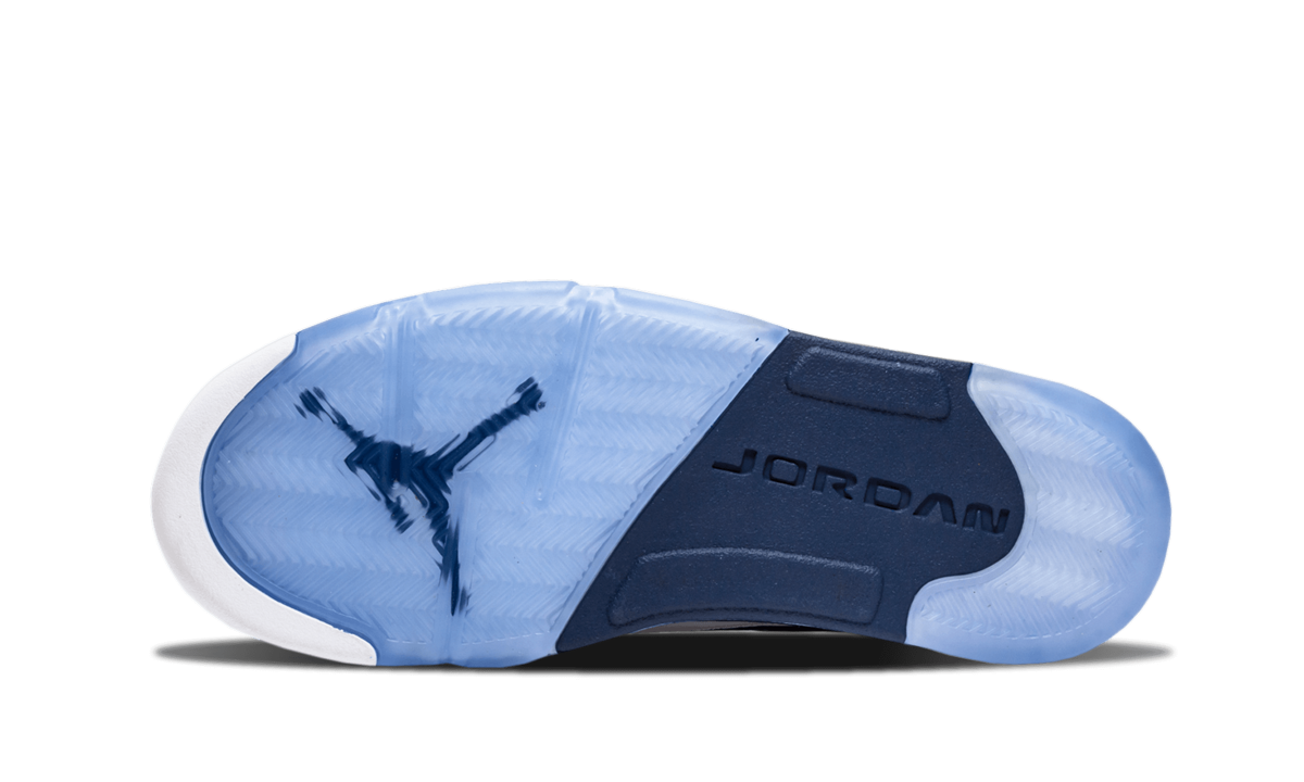 5 Retro Low "DUNK FROM ABOVE"