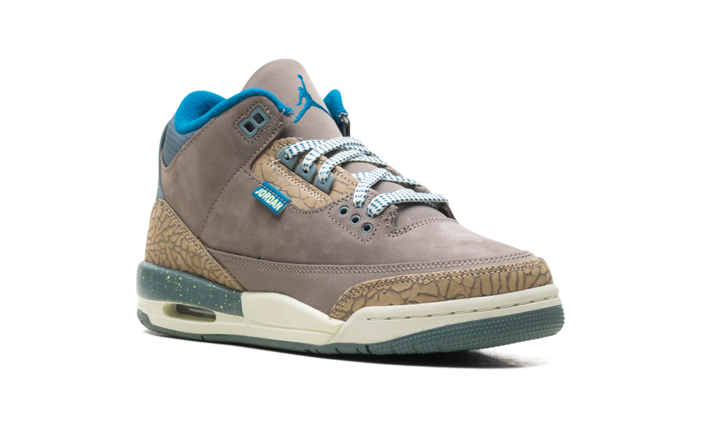 Air Jordan 3 GS "We Outside" IB7066 001