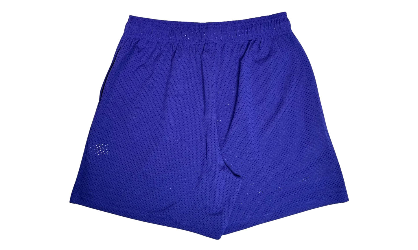 EE Basic Shorts "Purple / Yellow" EE338