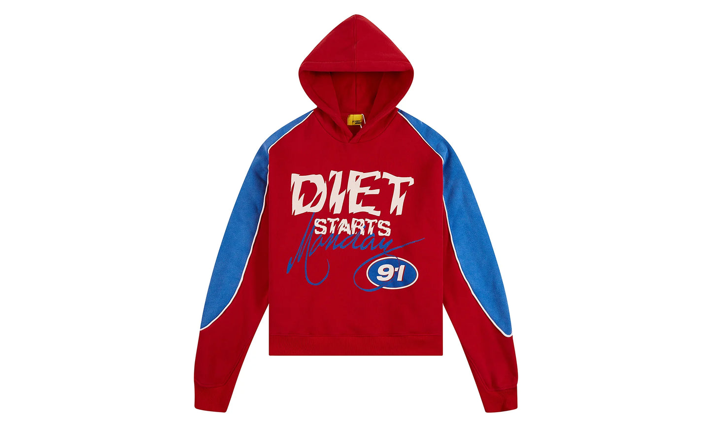 Panel Hoodie "Red" DSM HOL2502 205