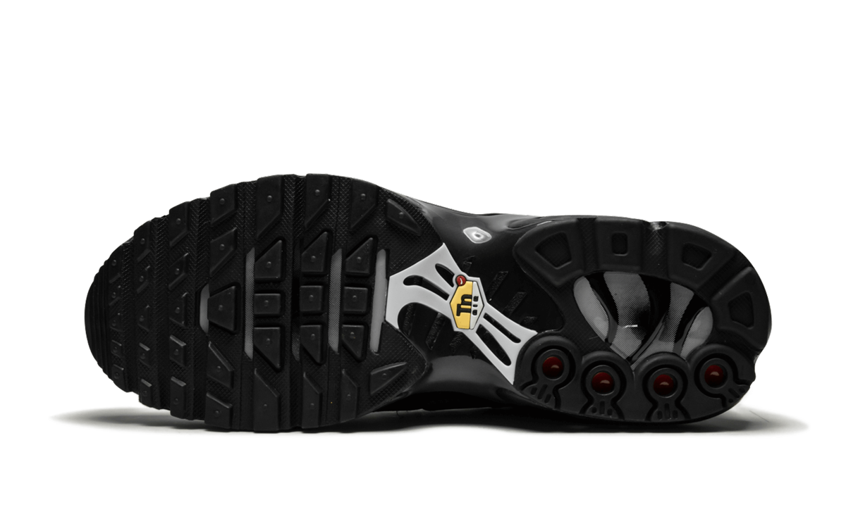 AIR MAX PLUS (GS) "AIR MAX PLUS (GS)" 655020 053