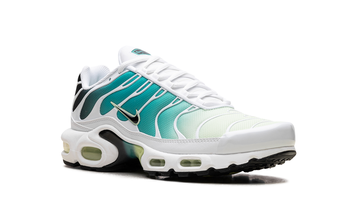 Air Max Plus WMNS"Dusty Cactus Barely Volt" DZ3670 102
