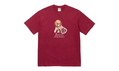 Dust Tee "FW25 - Cardinal" SU26816