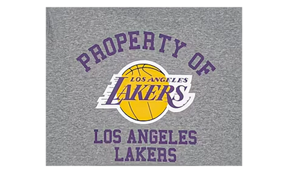 NBA Hoodie Los Angeles Lakers "Grey" EE173