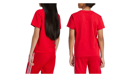 Originals Adicolor Trefoil Tee "Better Scarlet" IY7423