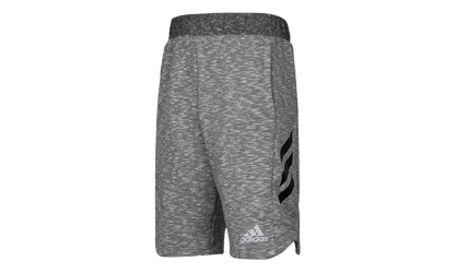 Pick Up Shorts "Grey" CE6959
