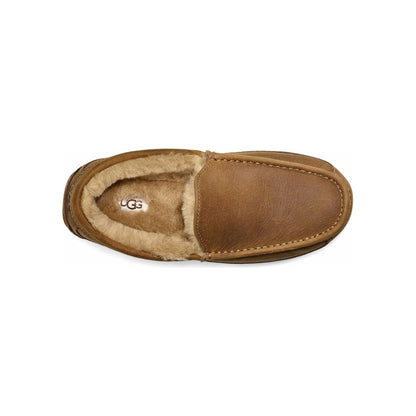 Men's Ascot Leather Slipper in Tan