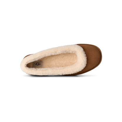 Women's Zora Ballet Flat in Chestnut