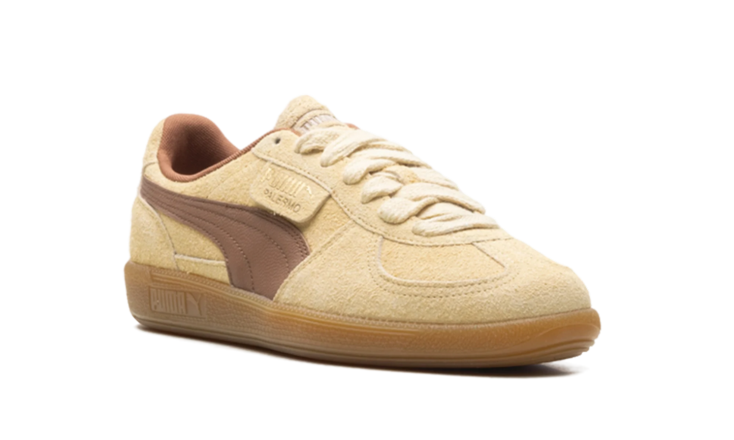 Palermo OG "Chamomile Brown Mushroom" 397251 01