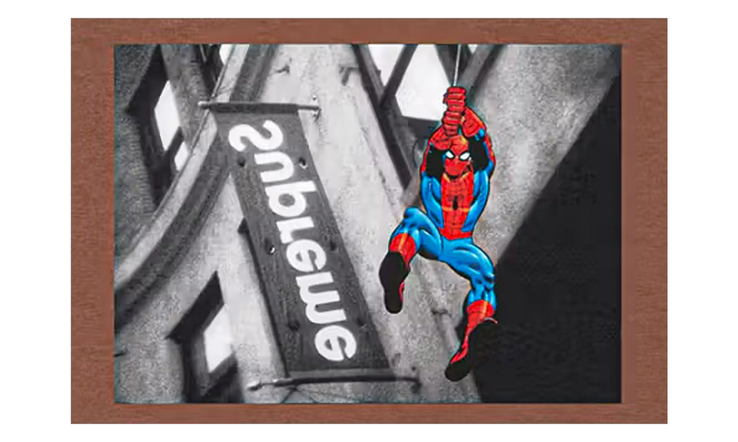 Spider-Man Tee "SS26 - Brown" SU27005