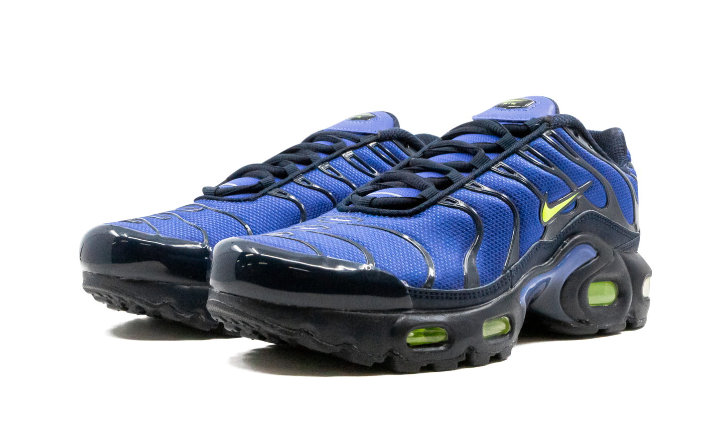 Air Max Plus (GS) CD0609 401