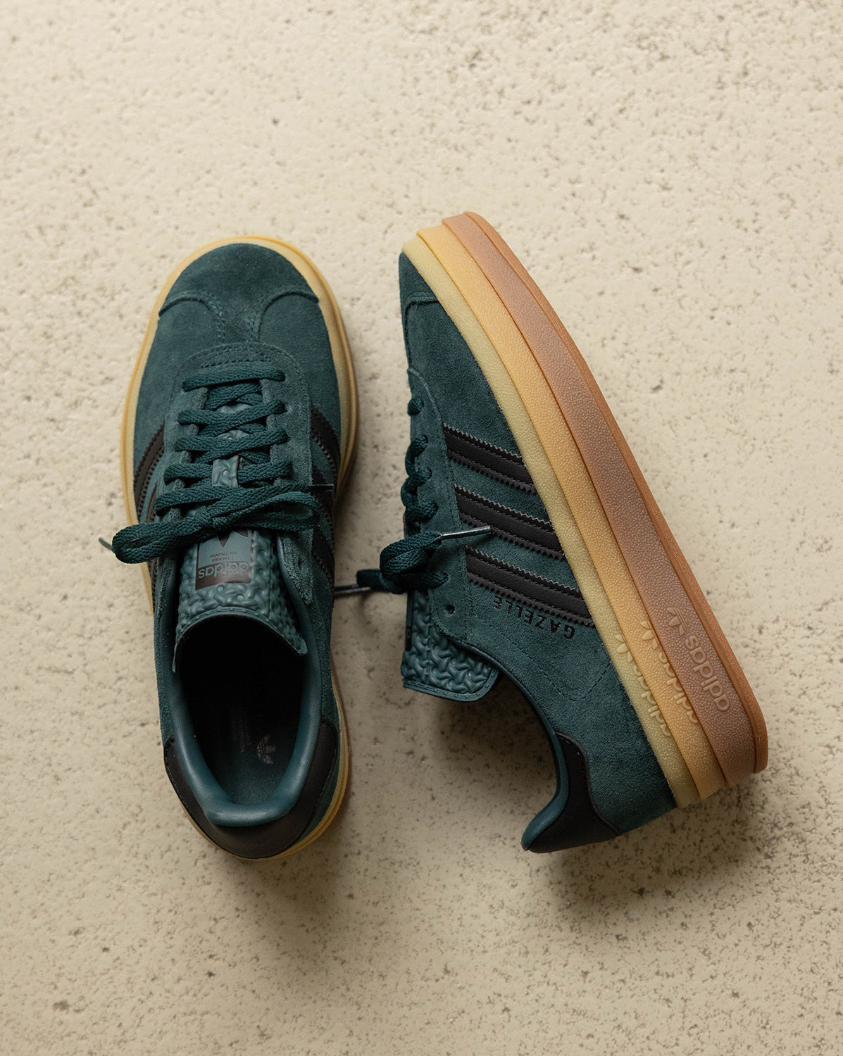 Gazelle Bold W