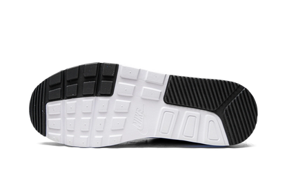 Air Max SC CW4555 006