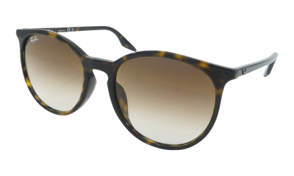 Square Sunglasses "Havana" RB2204F-902-51_54