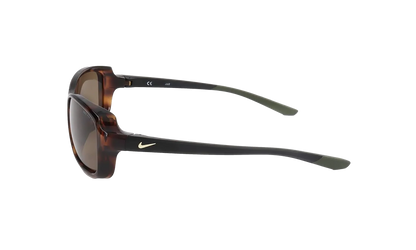 Breeze Sunglasses "Soft Tortoise Gold" CT8031 220