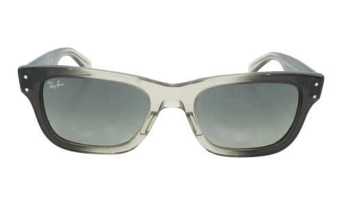 BURBANK SUNGLASSES "POLISHED TRANSPARENT GREY" RB2283-1340-71_52
