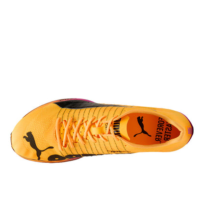Evospeed Forte NITRO Elite Track & Field Spikes
