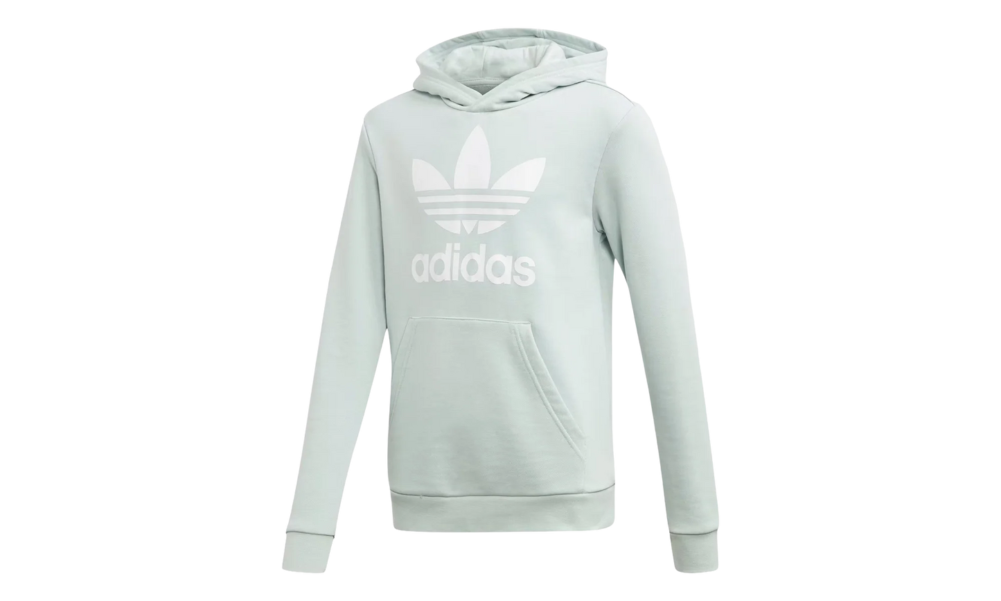 Originals Trefoil Hoodie GS "Vapour Green / White" ED7814