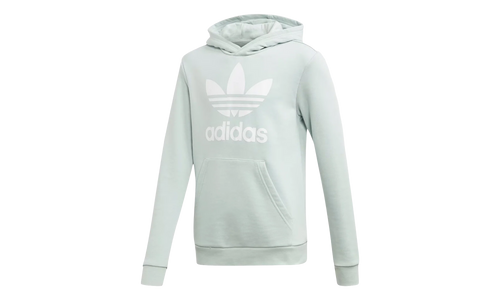 Originals Trefoil Hoodie GS "Vapour Green / White" ED7814