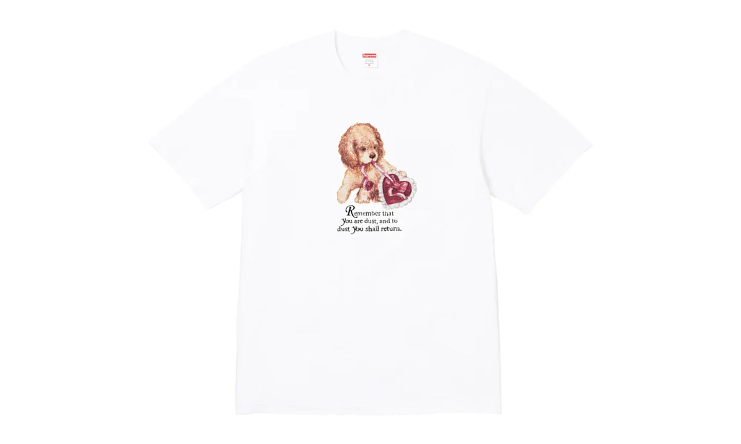 Dust Tee "FW25 - White" SU26817