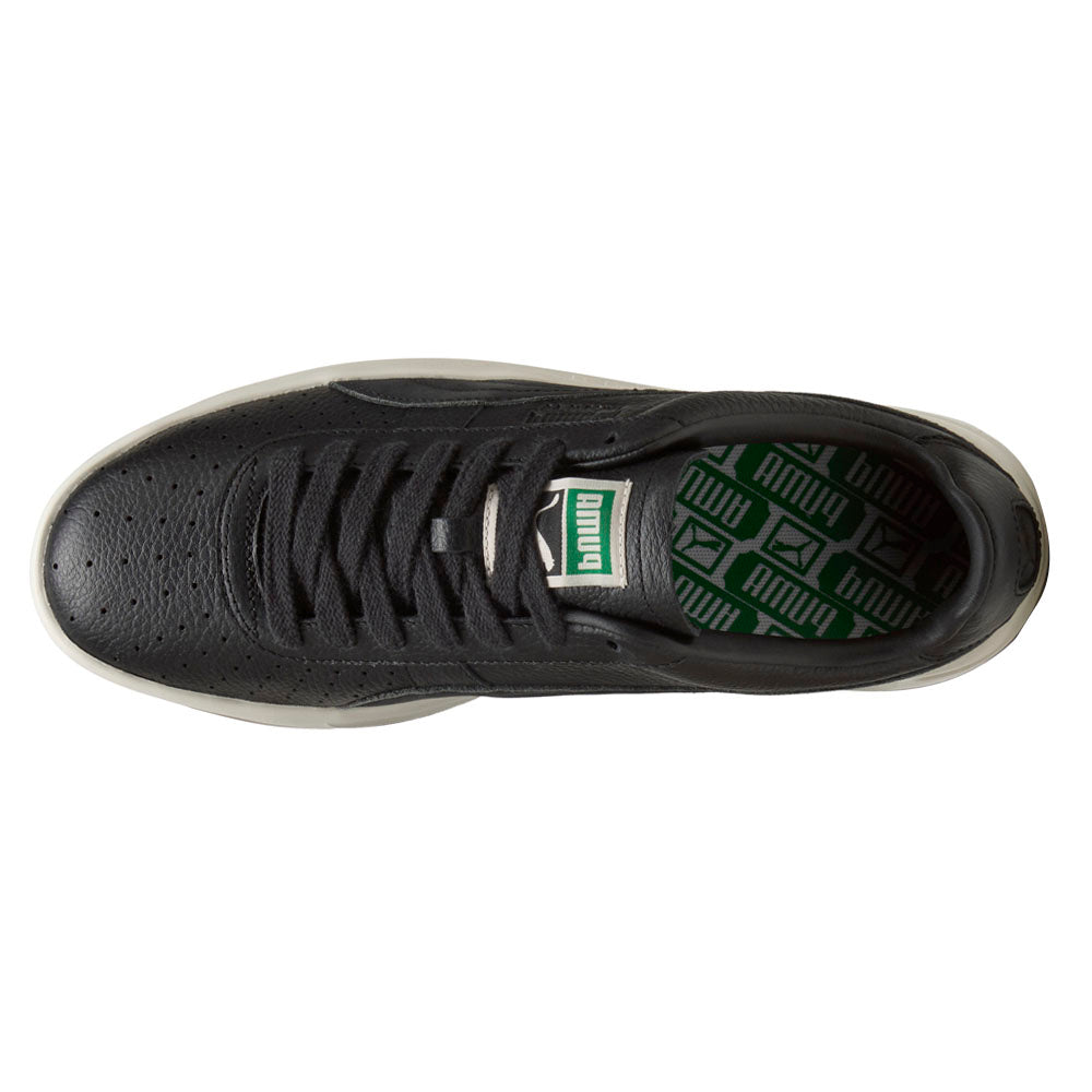 GV Special Base Lace Up Sneakers