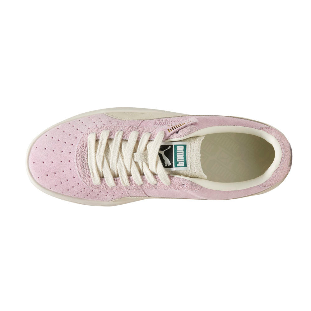 Gv Special Suede Lace Up Sneakers