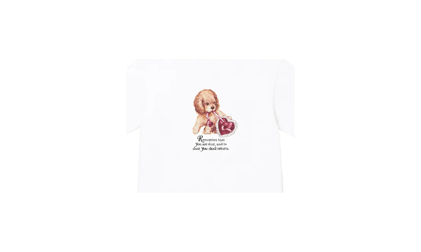 Dust Tee "FW25 - White" SU26817