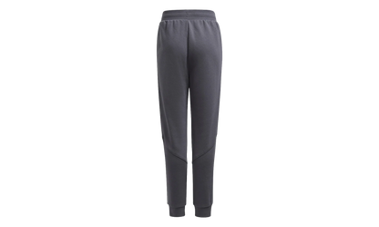 SPRT Collection Track Pants GS "Gray Five" H31215