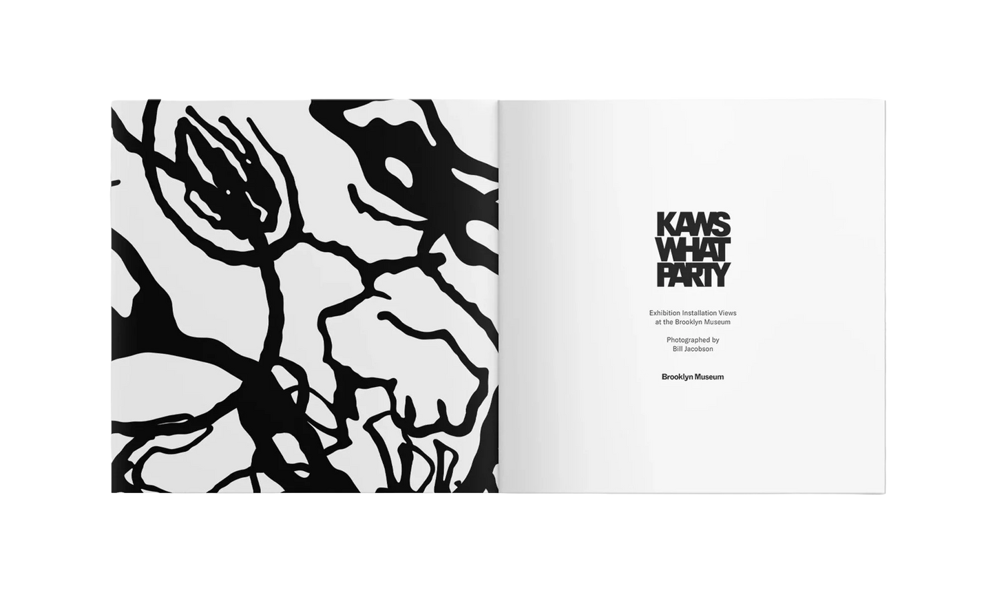 What Party Booklet "Pink Muticolor" KAWS202460