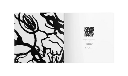 What Party Booklet "Pink Muticolor" KAWS202460