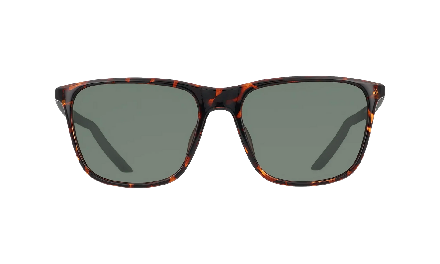 State Sunglasses "Velvet Brown / Night Forrest / Green" DV2290 220