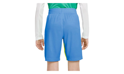 Dri-Fit Trophy Training Shorts GS "Blue / Yellow" 939655 414