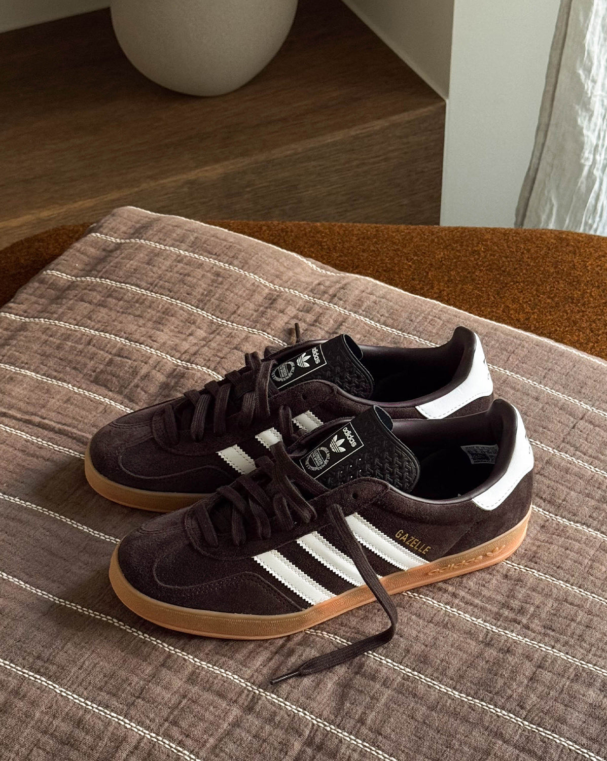 Gazelle Indoor