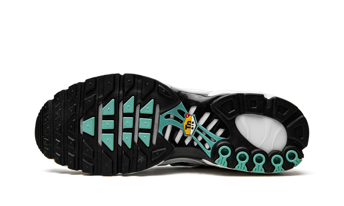 Air Max Plus "Atmos" 604133 148