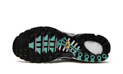 Air Max Plus "Atmos" 604133 148