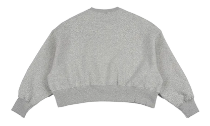 NSW Pheoneix Fleece Oversized Crew WMNS "Pure Platinum" DQ5761 043