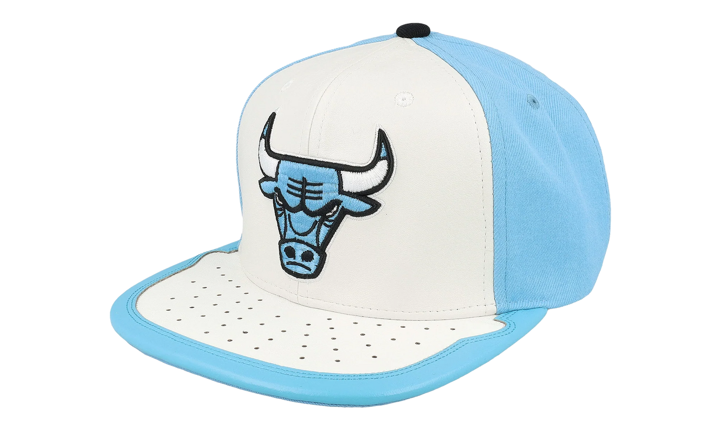 NBA Day One Snapback Cap "Chicago Bulls - White / Light Blue" HHSS4374 CBUYYPPPWHLB