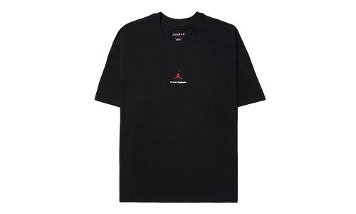 Nigel Sylvester Brick Tee "Black" HQ1736 010